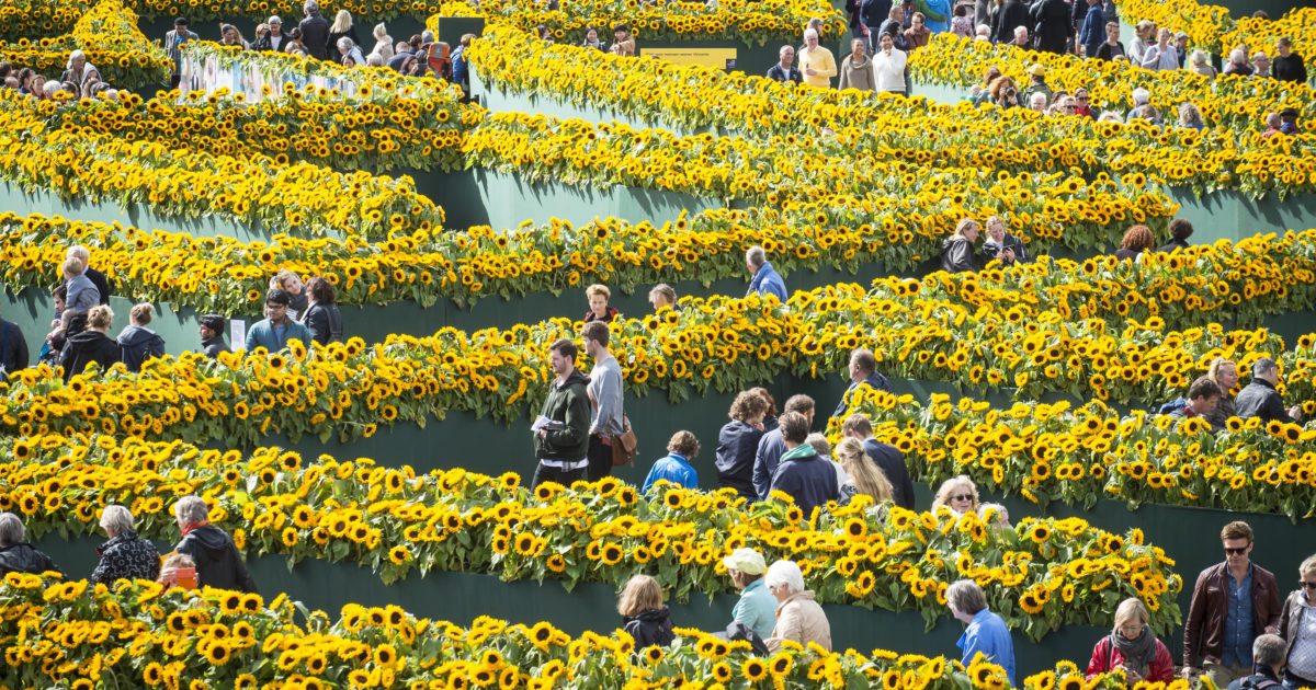 Van Gogh Museum en Takii verlengen partnerschap met 3 jaar Sponsorreport